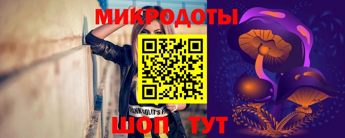 Галлюциногенные грибы Psilocybine cubensis  Псилоцибиновые грибы Psilocybe  Вход с VPN  Рославль 